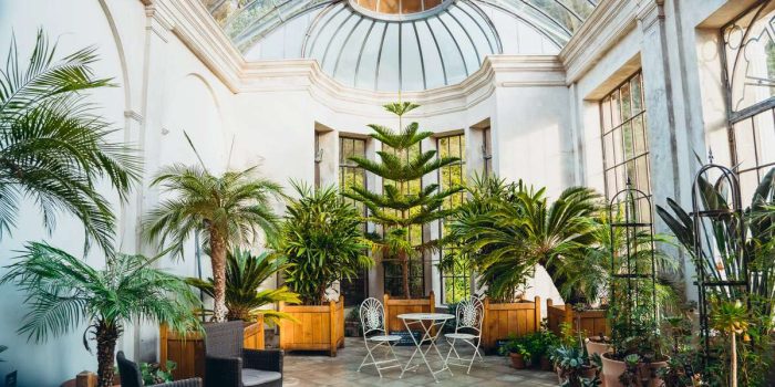 Orangery with tropical plants in wooden pots and garden furniture inside of the residential house. Largely built conservatory. Classic interior and trendy biophilic style. Copy space